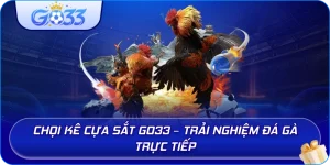 Chọi Kê Cựa Sắt GO33 – Trải nghiệm đá gà trực tiếp