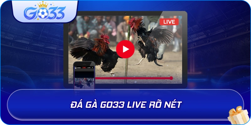 Đá Gà GO33 live rõ nét