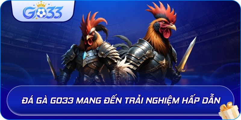 Đá Gà GO33 mang đến trải nghiệm hấp dẫn