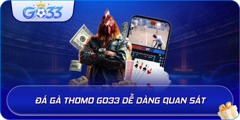 Đá Gà Thomo GO33 dễ dàng quan sát
