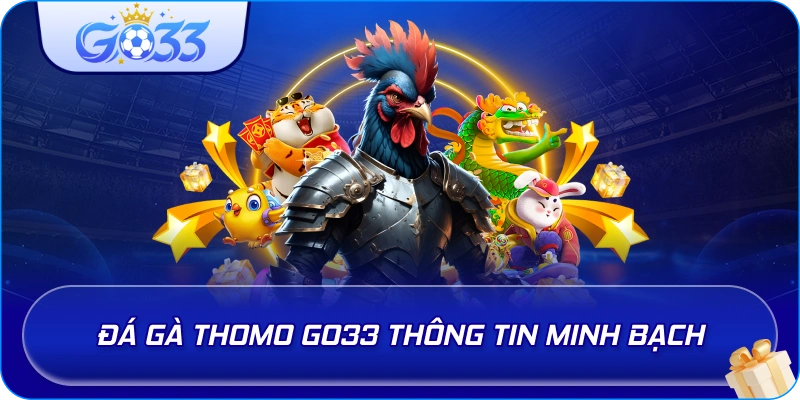 Đá Gà Thomo GO33 thông tin minh bạch