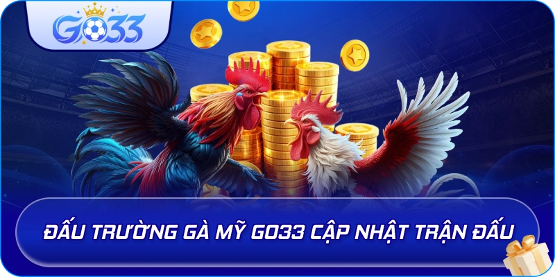 Đấu Trường Gà Mỹ GO33 cập nhật trận đấu