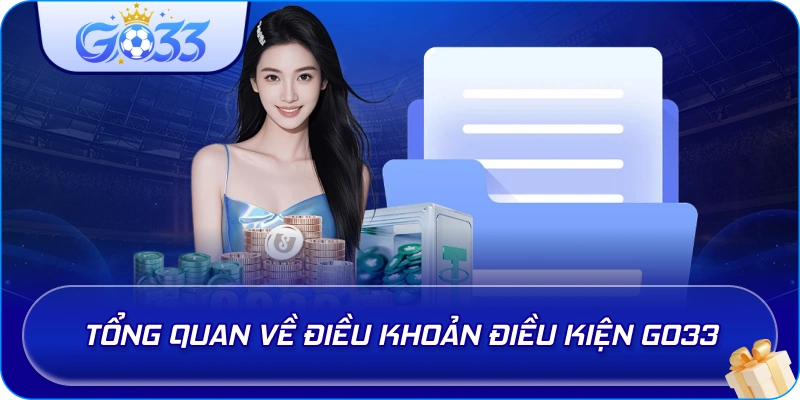 Tổng quan về Điều Khoản Điều Kiện GO33